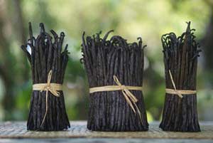 Vaniljstång från Madagaskar